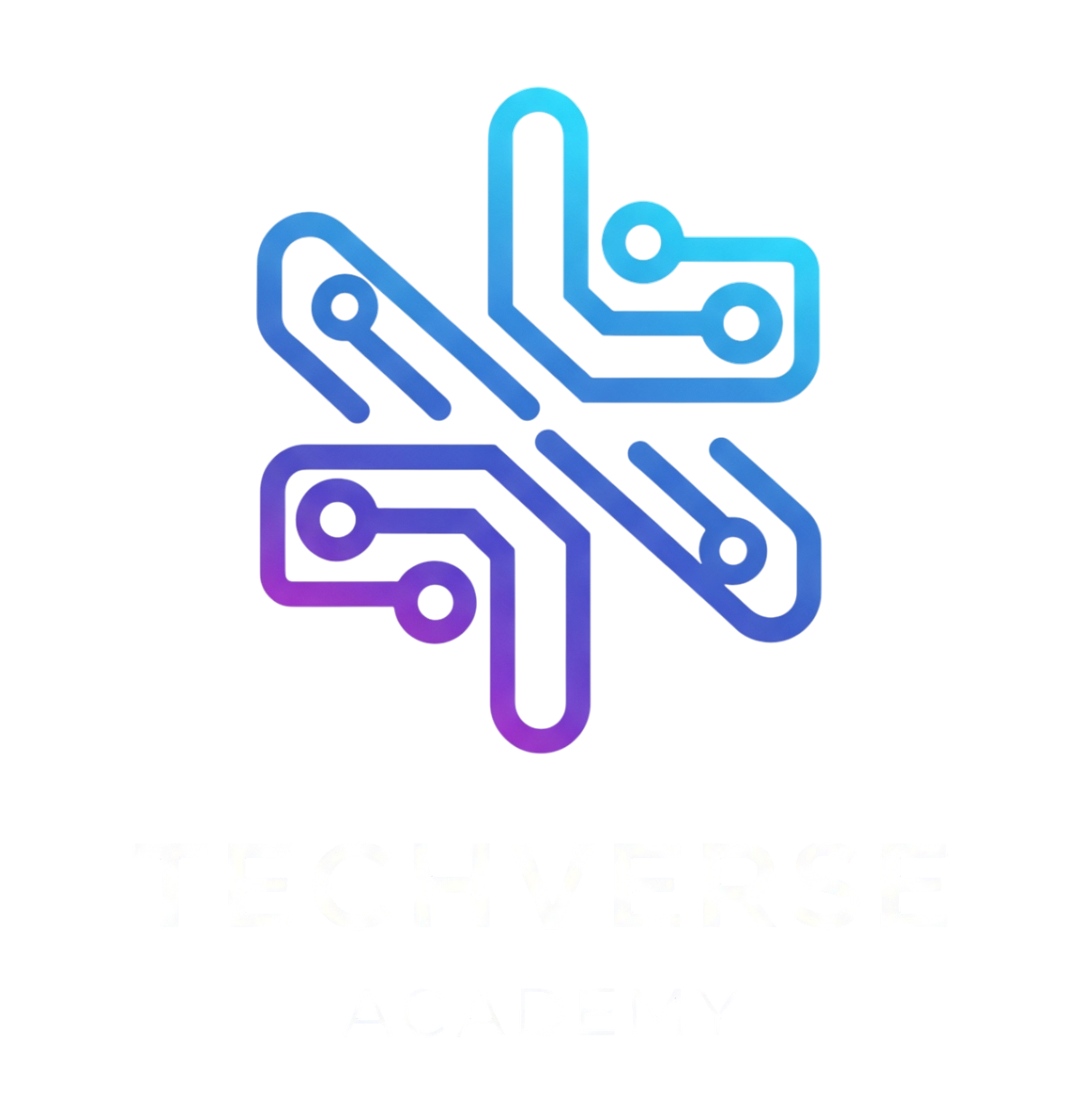 TechVerse Academy Logo